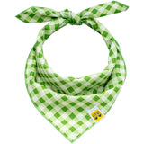 Apple Green Gingham Dog Bandana