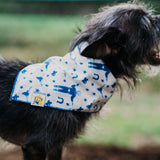 Big Tex Dog Bandana in Blue x Studio Orch Collaboration Collection