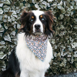 Blueberry Thicket Dog Bandana