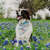 Cyan Wildflowers Dog Bandana