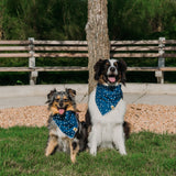 Inky Stars Dog Bandana