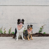 Happy Jack-O-Lanterns Dog Bandana