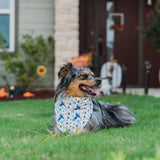 Big Tex Dog Bandana in Blue x Studio Orch Collaboration Collection