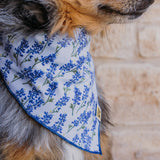 Bluebonnets Everywhere Dog Bandana