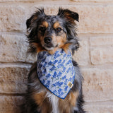 Bluebonnets Everywhere Dog Bandana
