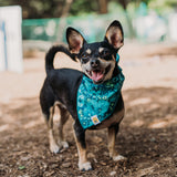 Electric Botanical Dog Bandana