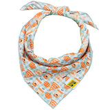 Pumpkin Everything Dog Bandana