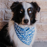Bluebonnets Everywhere Dog Bandana