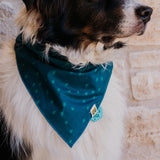 Deep Teal Stars Dog Bandana
