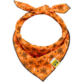 Spooky Webs Dog Bandana