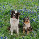 Sunshiney Florals Dog Bandana