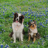 Sunshiney Florals Dog Bandana