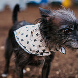 Texas State Dog Bandana in Black and White x Studio Orch Collaboration