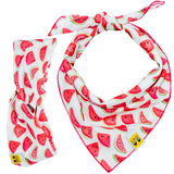Watermelons Matching Set