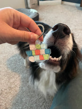 Dog Vibes Acrylic Keychain