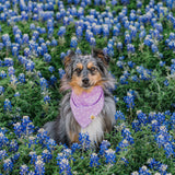 Lovely Lavender Sparks Dog Bandana