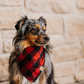Buffalo Plaid Bandana