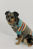 Terra Brown and October Blue Striped Dog Sweater
