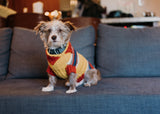 Mustard Yellow Striped Dog Sweater