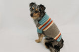 Terra Brown and October Blue Striped Dog Sweater