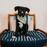 Yellow Botanical Dog Bandana With a black dog