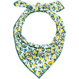 Limoncello Dog Bandana