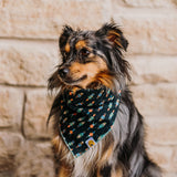 Nutcrackers For All Bandana