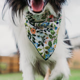 Yellow Botanical Dog Bandana with an Australian Shepherd Standard