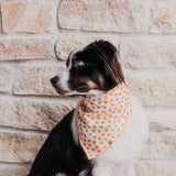 Tiny Pumpkins Bandana