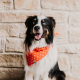 Red Aztec Bandana