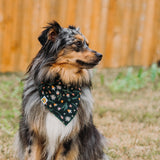Forest Fauna Dog Bandana