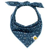 Shimmer Tonight Bandana