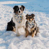 Geometric Wildflower Bandana