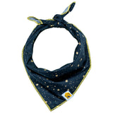 Starry Night Metallic Dog Bandana