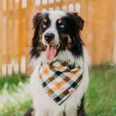 Tobacco Plaid Dog Bandana