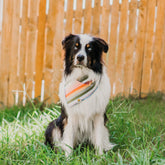 Miami Beach Umbrella Bandana