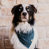 Shimmer Tonight Bandana