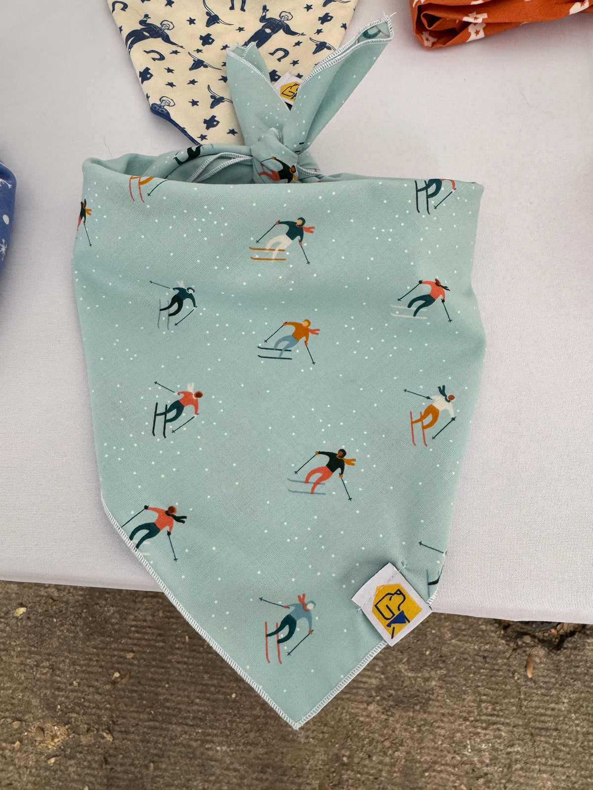 Tiny Skiiers Bandana