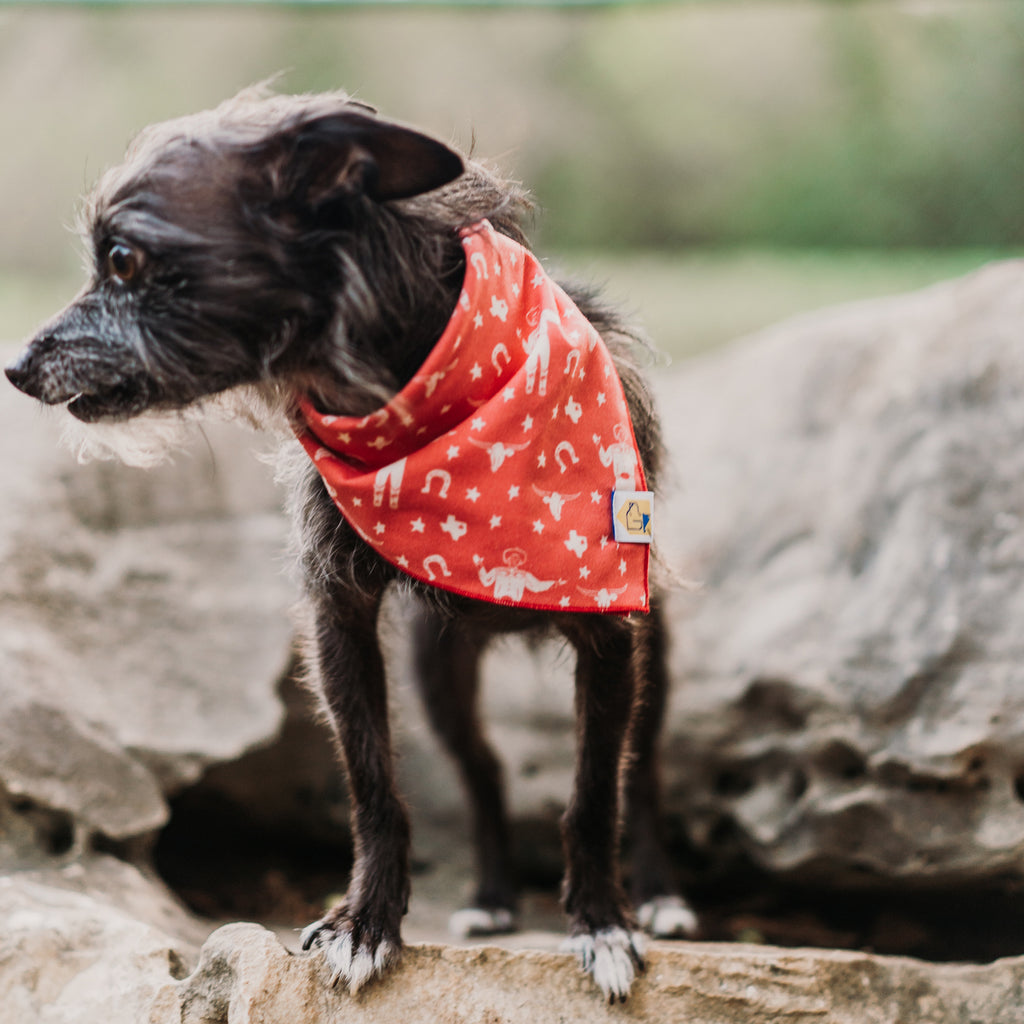 Luxury Inspired Chewy V Dog Bandana-Red