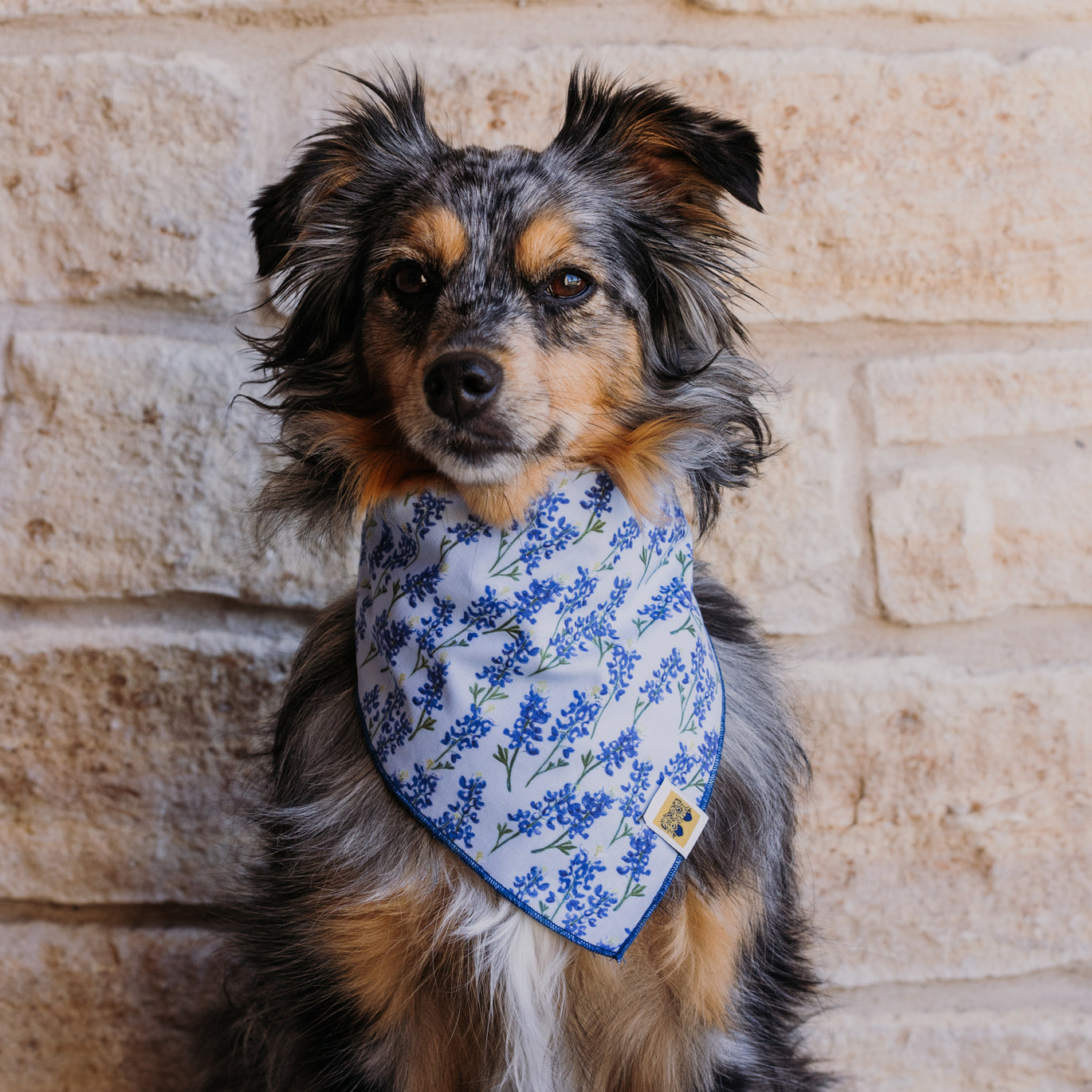 Strawberry Fields Forever Dog Bandana