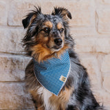 Crisp Summer Gingham Dog Bandana