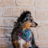 Ditsy Dianthus Dog Bandana