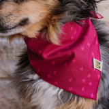 Garnet Stars Dog Bandana