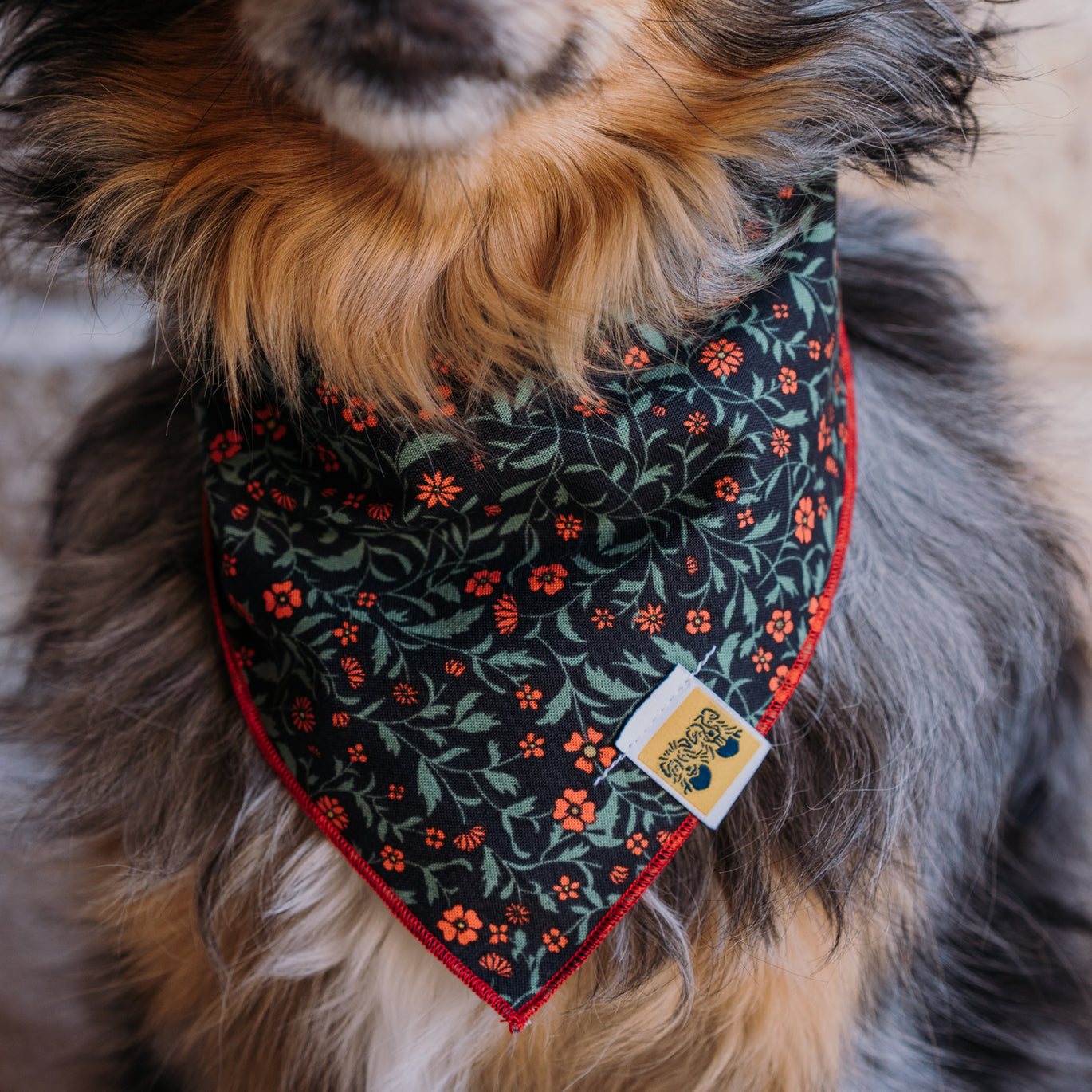 Strawberry Fields Forever Dog Bandana