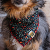 Trailing Red Poppies Dog Bandana