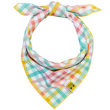 Easy Breezy Gingham Dog Bandana