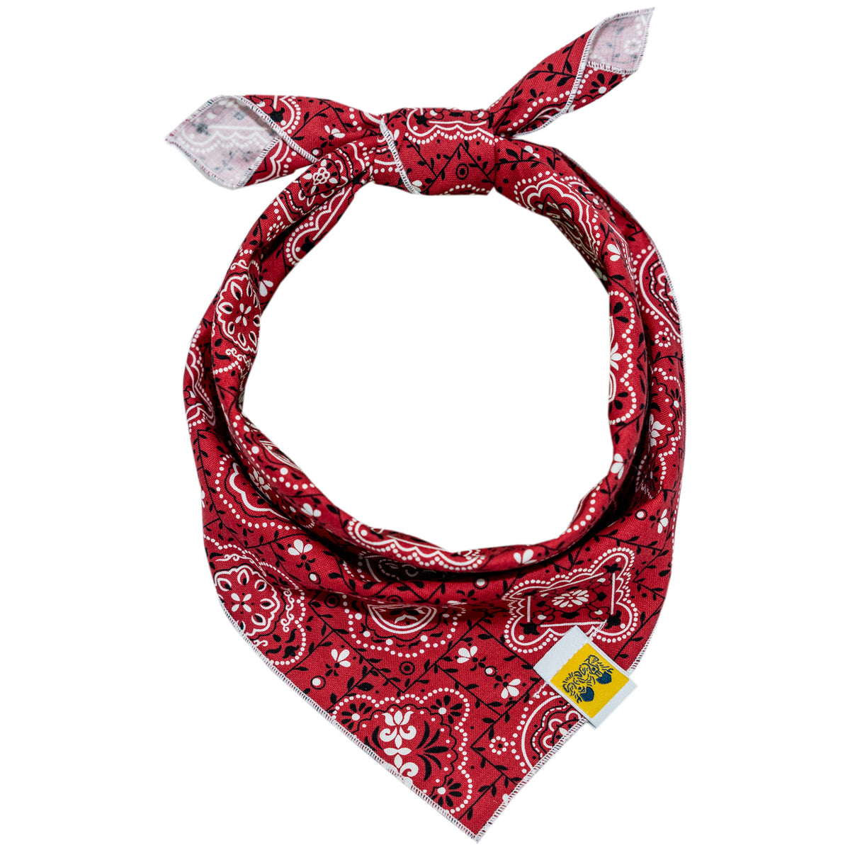 Yeehaw Red Paisley Dog Bandana