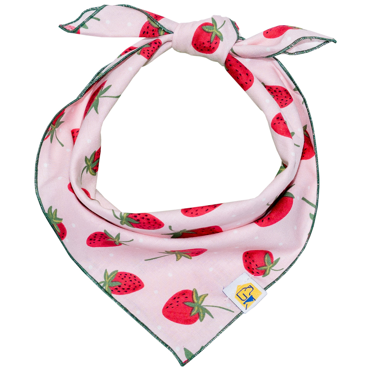 Strawberry Fields Forever Dog Bandana