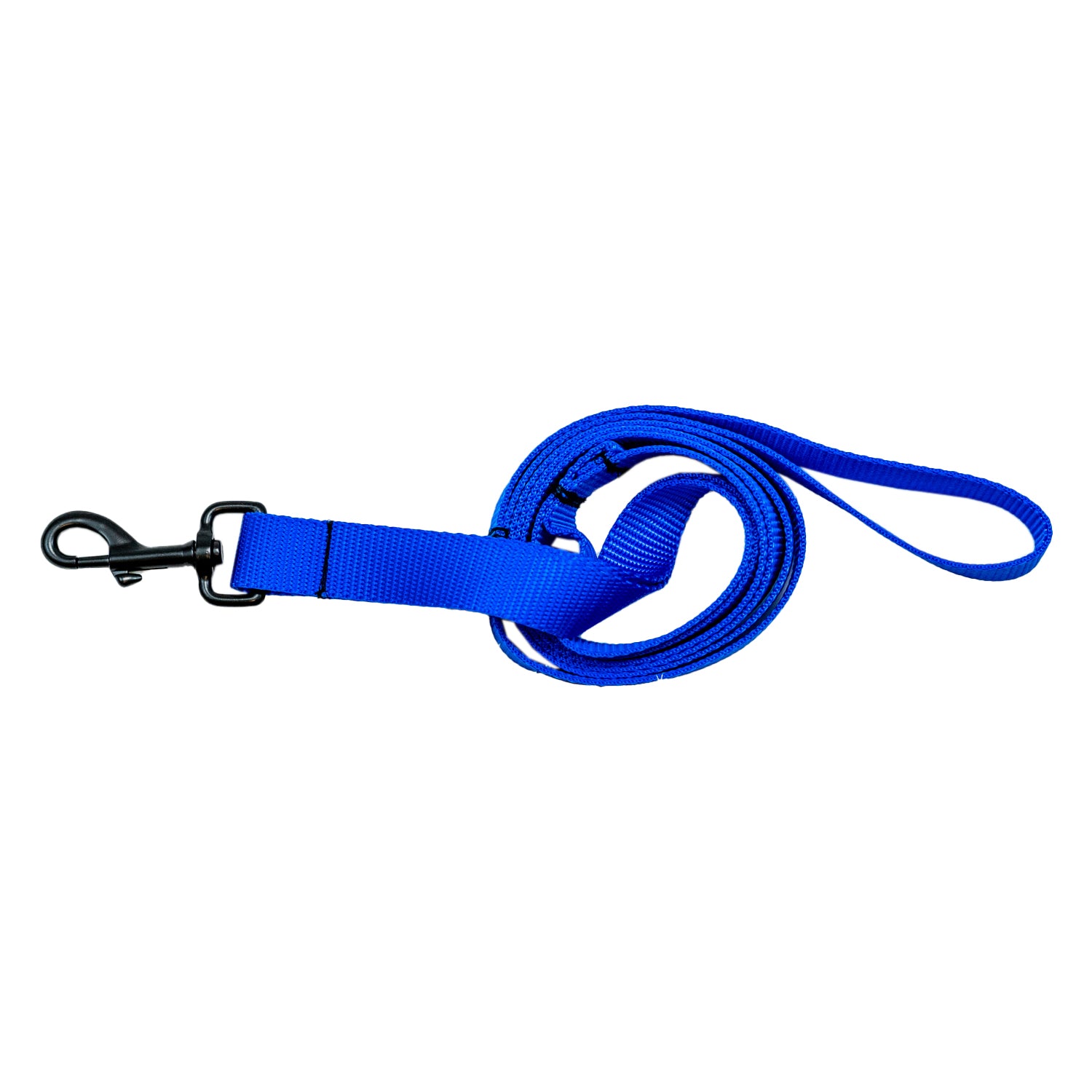 Bright Royal Blue Dog Leash
