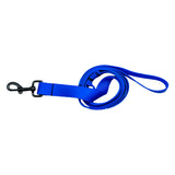 Bright Royal Blue Walk Set
